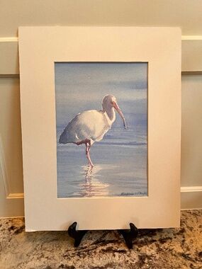 IBIS WATERCOLOR
